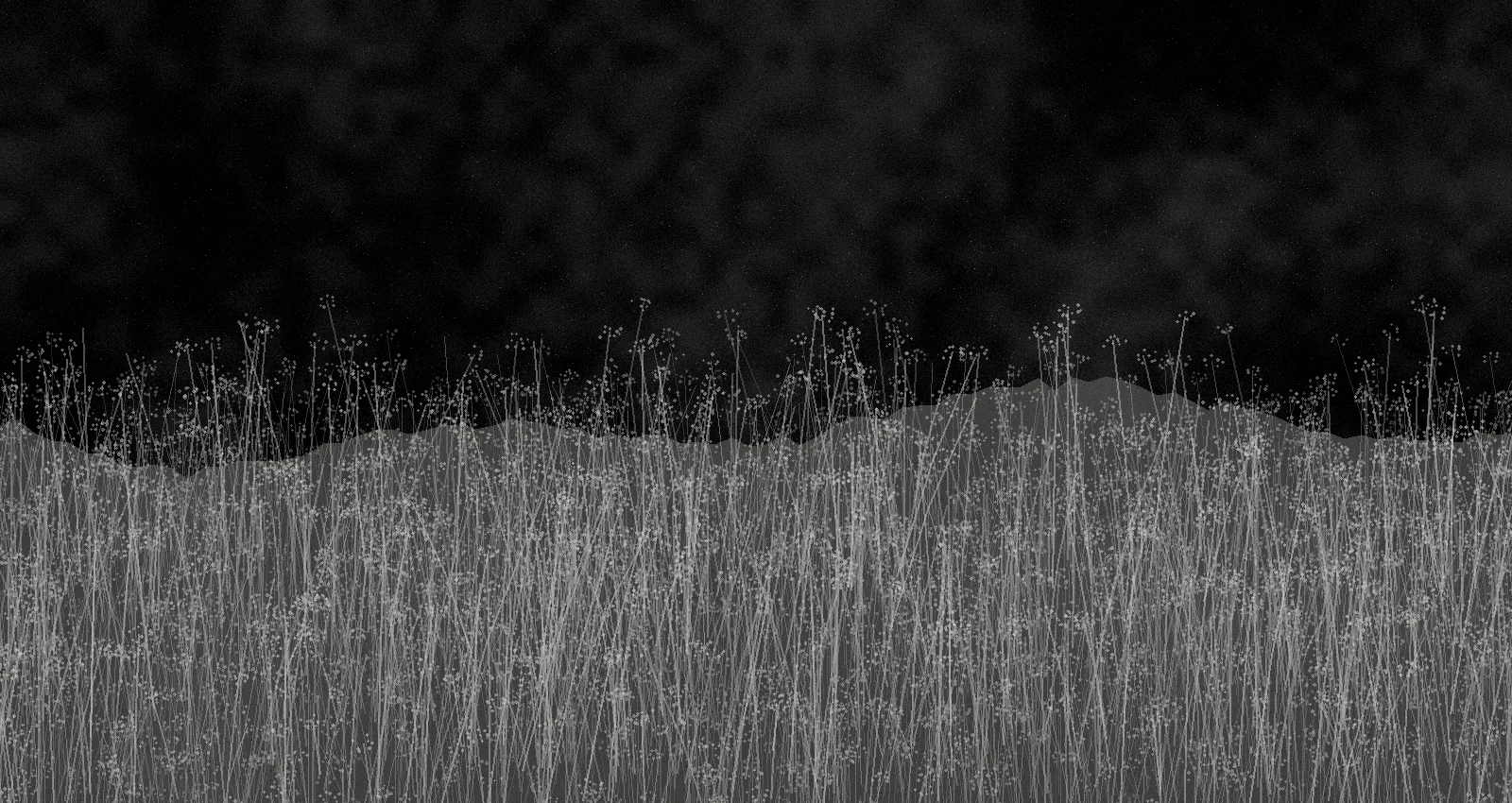 A monochrome print of fine seed heads rising from a dark hillside